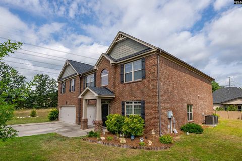 A home in Chapin