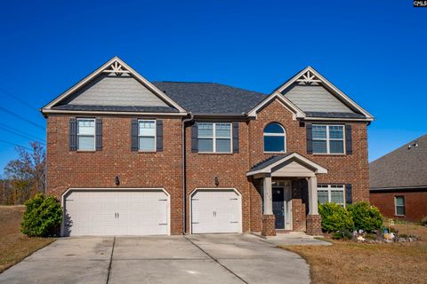 A home in Chapin