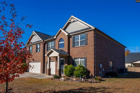 A home in Chapin