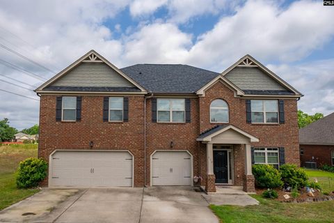 A home in Chapin