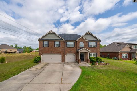 A home in Chapin