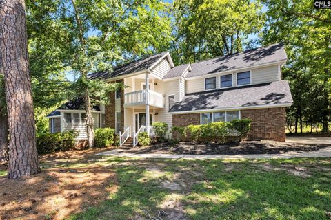 A home in Chapin