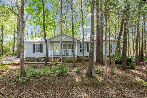 Photo of 195 Lexington Lane, Chapin, SC 29036 (MLS # 626585)