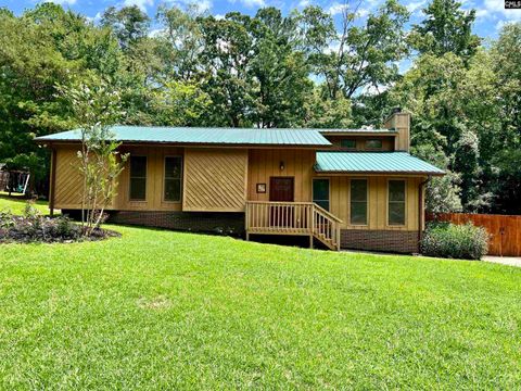 Photo of 519 Cockspur Road, Irmo, SC 29063 (MLS # 621001)