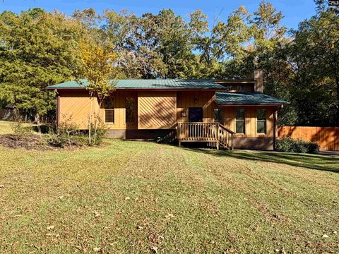 Photo of 519 Cockspur Road, Irmo, SC 29063 (MLS # 621001)