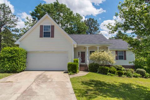 Photo of 409 Waterville Drive, Columbia, SC 29229 (MLS # 621568)