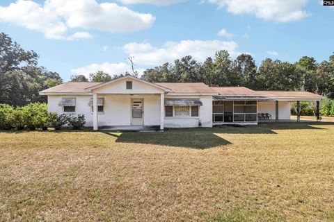 Photo of 7166 Wagener Road, Wagener, SC 29164 (MLS # 631276)