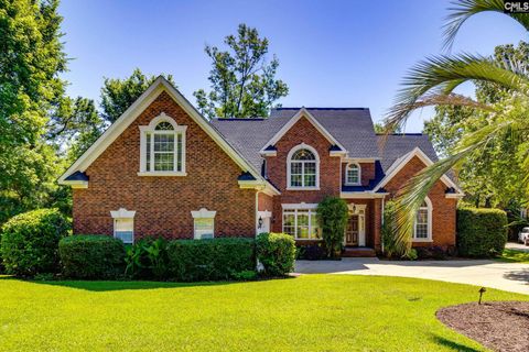 A home in Chapin