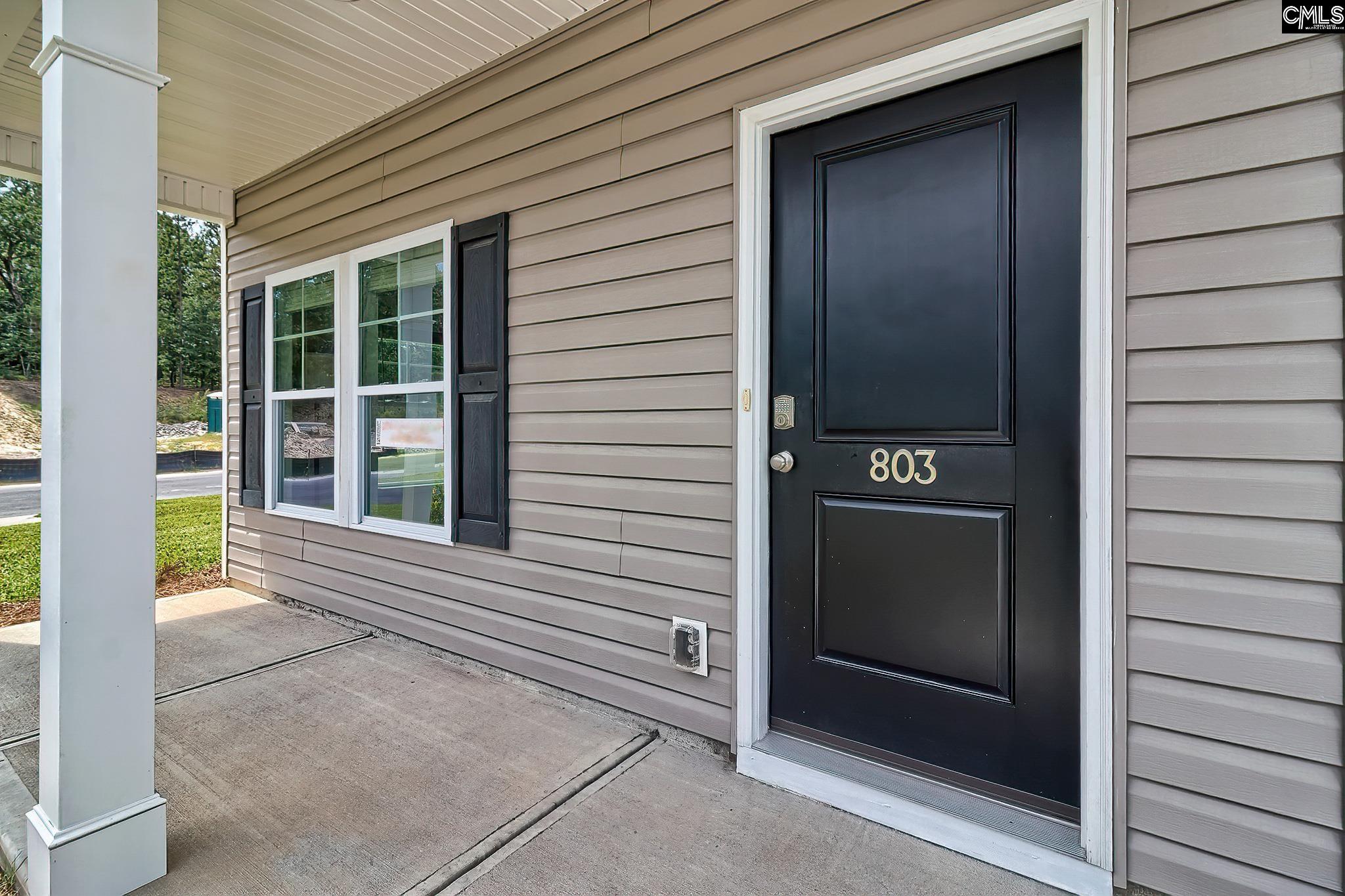 803 Daniel Lake Court