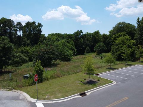Unimproved Land in Columbia SC 175 Park Central Drive 12.jpg