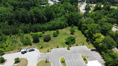 Unimproved Land in Columbia SC 175 Park Central Drive.jpg