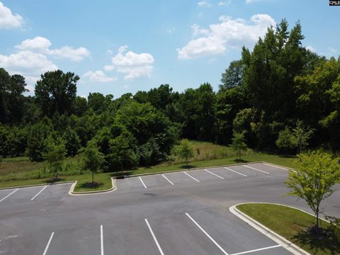 Unimproved Land in Columbia SC 175 Park Central Drive 8.jpg