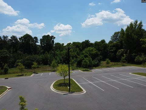 Unimproved Land in Columbia SC 175 Park Central Drive 10.jpg