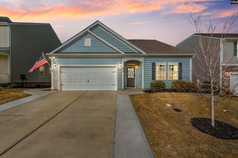 Photo of 623 Autumn Shiloh Drive, Chapin, SC 29036 (MLS # 628905)