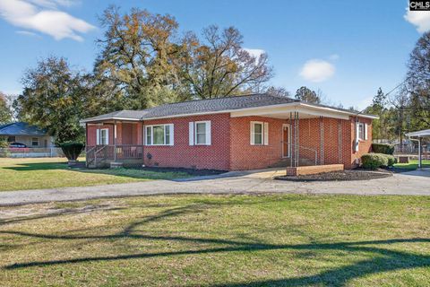 Photo of 4462 Festival Trail Road, Wagener, SC 29164 (MLS # 628769)