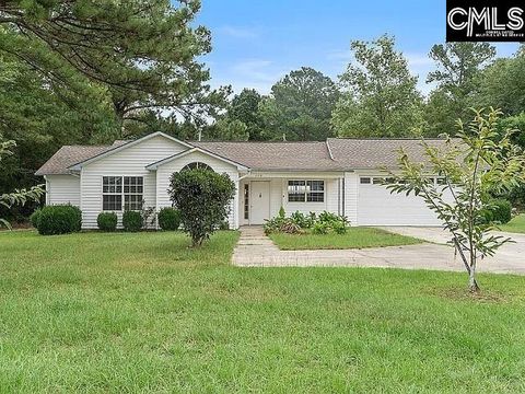 Photo of 208 Smyrna Rd. Rd, Elgin, SC 29045 (MLS # 618405)