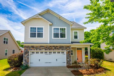 Photo of 162 Wingspan Way, Chapin, SC 29036 (MLS # 631581)