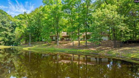 Photo of 150 Four Foxes Lane, Chapin, SC 29036 (MLS # 633706)