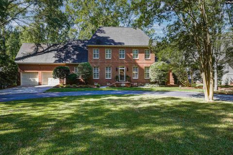 Property photo of 135 Willowood Cove, Chapin, SC 29036
