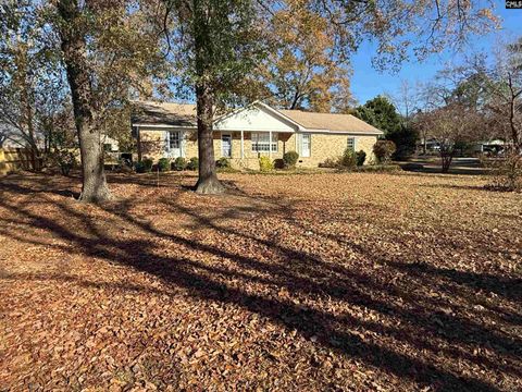 Photo of 100 Rollingwood Drive, Lexington, SC 29072 (MLS # 624047)