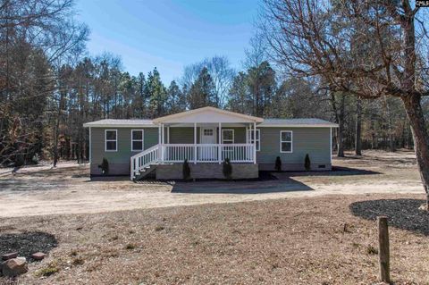 Photo of 113 Patricia Ave Ave, Pelion, SC 29123 (MLS # 626815)