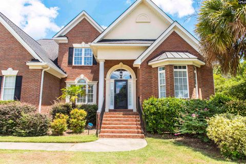 A home in Chapin