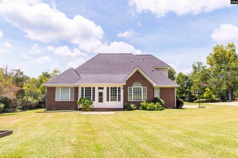 A home in Chapin