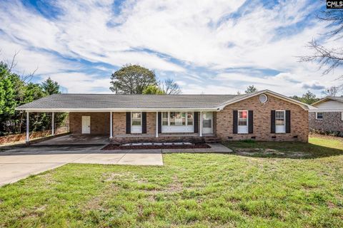 Photo of 4083 Platt Springs Road, West Columbia, SC 29170 (MLS # 629078)