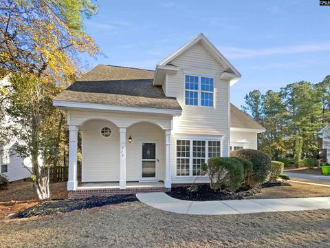 Photo of 213 Castlebury Drive, Columbia, SC 29229 (MLS # 624295)