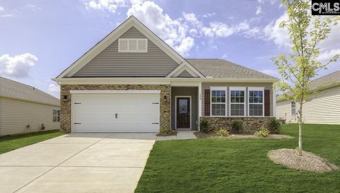 819 Trident Maple Lane Chapin Sc 29036