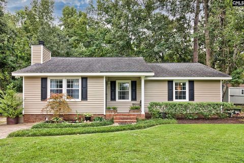 Photo of 151 Meadow Wood Drive, Lexington, SC 29073 (MLS # 623049)