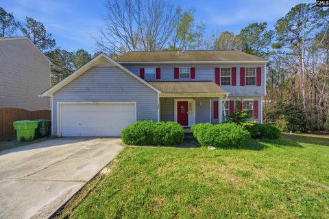 Photo of 102 Skyhawk Road, Irmo, SC 29063 (MLS # 629455)