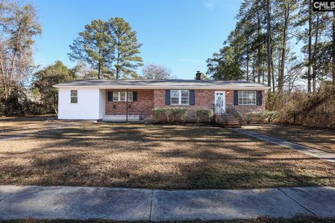 Photo of 1013 Pinelane Road, Columbia, SC 29223 (MLS # 626791)