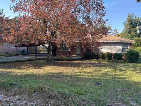 Photo of 7013 Frandall Avenue, Columbia, SC 29223 (MLS # 621287)
