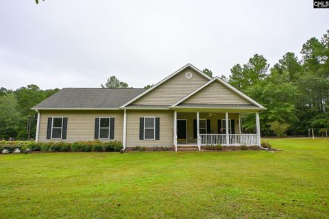 Photo of 707 Mt Ebal Road, Batesburg, SC 29006 (MLS # 626776)