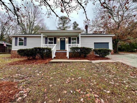 Photo of 1136 Chadford Road, Irmo, SC 29063 (MLS # 622913)