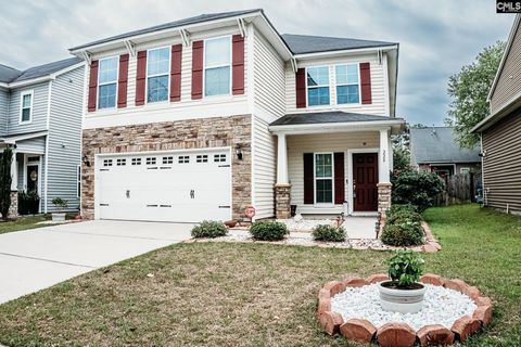 Photo of 228 Congaree Mill Lane, West Columbia, SC 29169 (MLS # 633836)