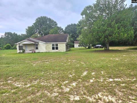 Photo of 4412 Festival Trail Road, Wagener, SC 29164 (MLS # 634007)