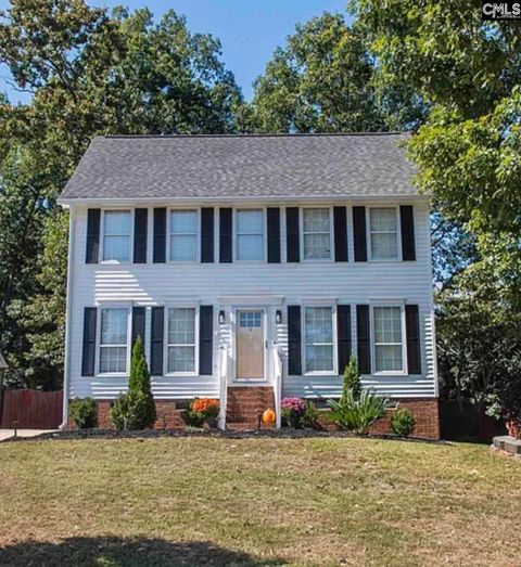 Photo of 166 Stockmoor Road, Irmo, SC 29212 (MLS # 620687)