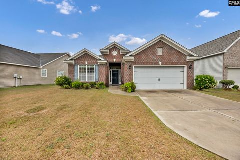 Photo of 132 Flora Springs Circle, Columbia, SC 29223 (MLS # 633079)