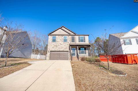 A home in Chapin