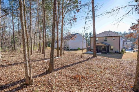 A home in Chapin