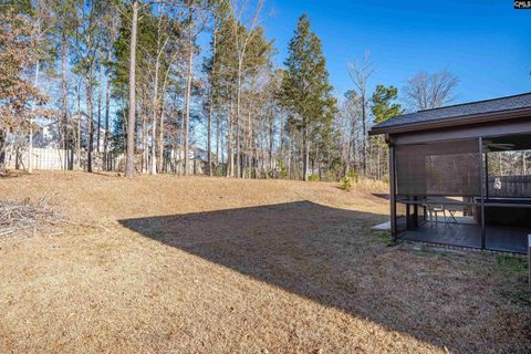 A home in Chapin