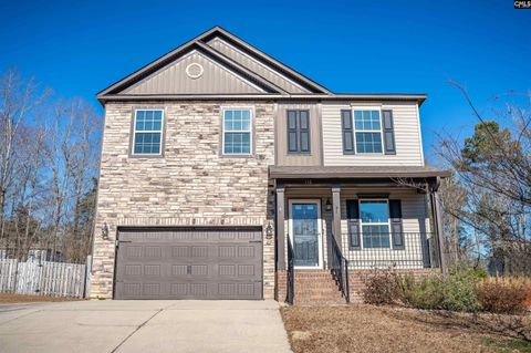 A home in Chapin