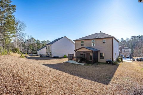 A home in Chapin