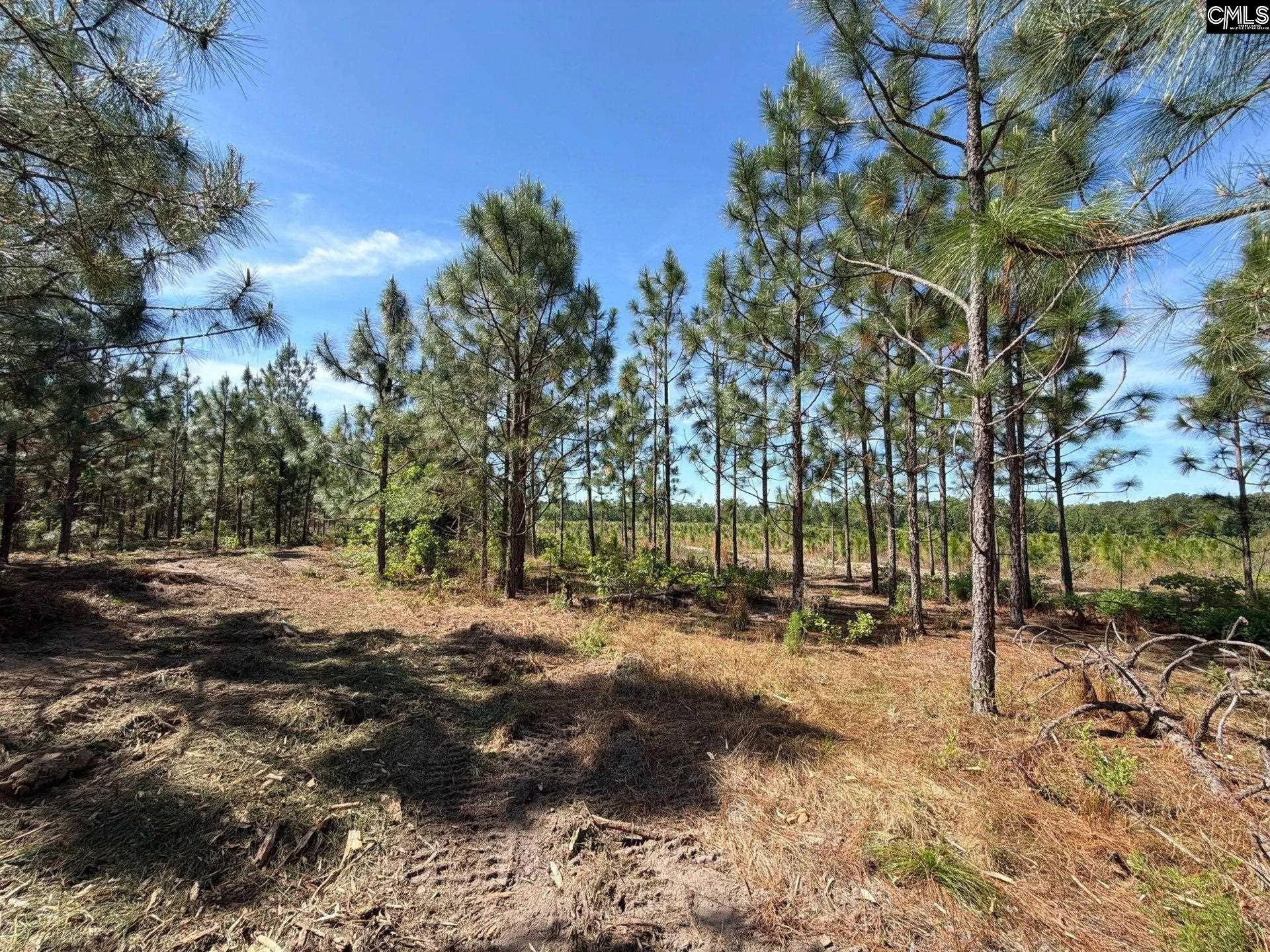 HRF 3 Holstein Road, Wagener, SC, 29164
