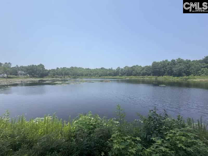 Photo 1 of 10 — Mossborough Drive, West Columbia, SC 29073