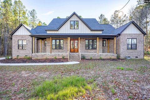 Photo of 154 Pebblebranch Drive, Chapin, SC 29036 (MLS # 623141)