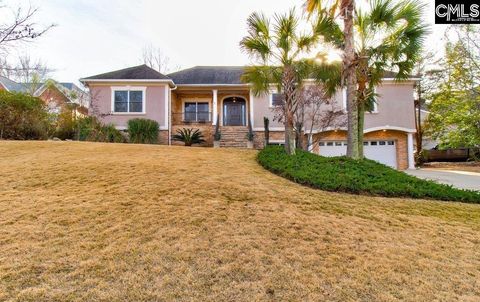 A home in Chapin