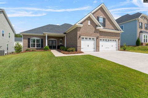 A home in Chapin